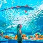 Top Amazing Accommodations You MUST KNOW ABOUT