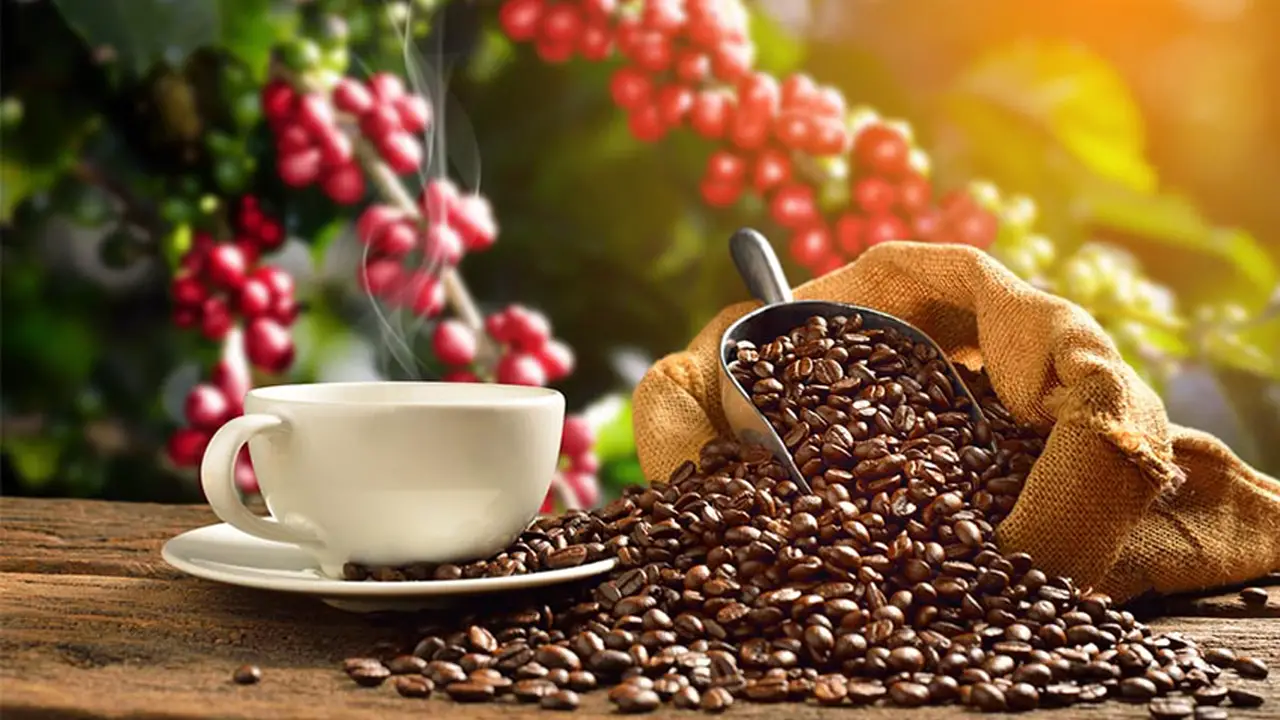 The Best Coffee Countries in the World 2022 Revel Travel Blog